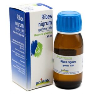 ribes-nigrum-macerato-glicerico-gemme-60ml-082040