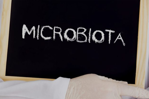 microbioti come mantenerli in equilibrio